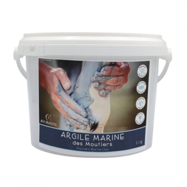 Argile Marine 2.5 Kg