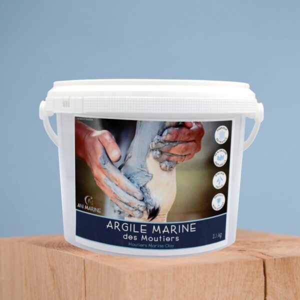 Argile Marine 2.5 Kg